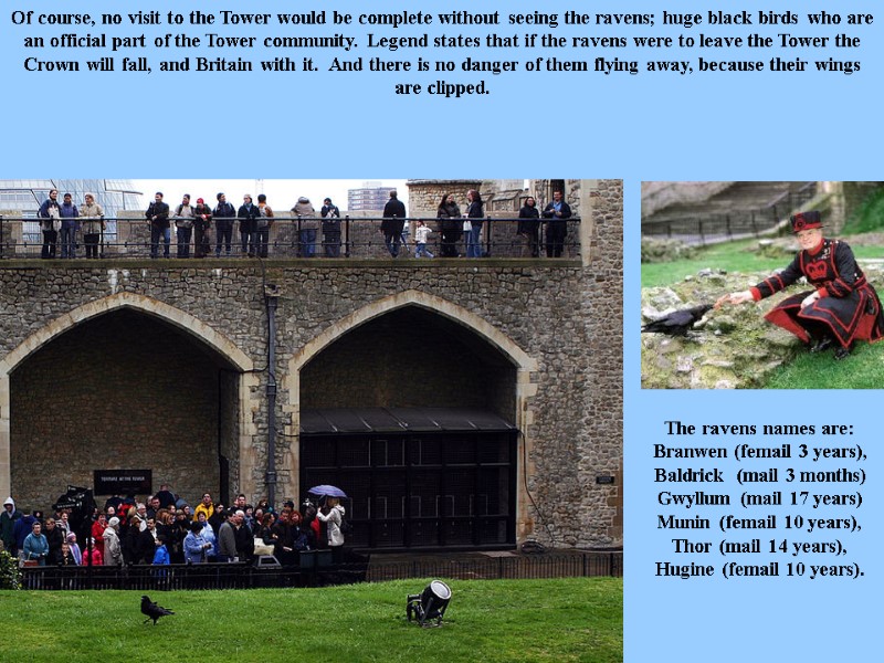 Of course, no visit to the Tower would be complete without seeing the ravens;